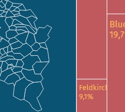 Landtagswahl Vorarlberg 2019 - treemap
